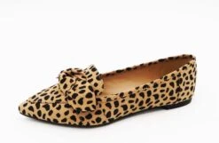 JP. VERIFY02 - CHEETAH